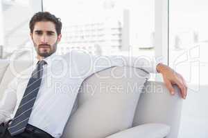 Concentrated businessman sitting on couch