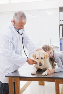 Vet examining a dog with its uneasy owner