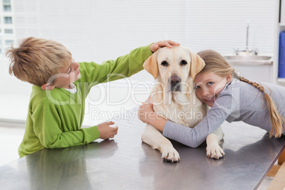 Cute labrador with its owners