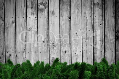 Fir branches on wooden planks