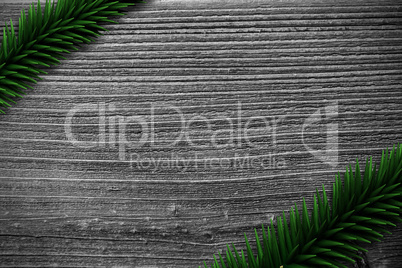 Fir branches on wooden planks