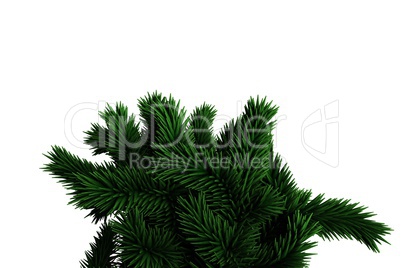 Digitally generated fir tree branches