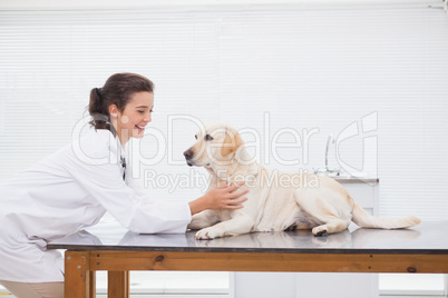 Smiling veterinarian examining a cute dog