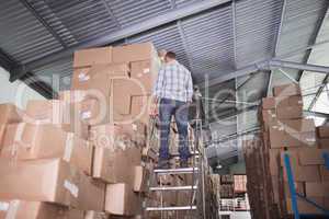 Rear view of worker on ladder in warehouse