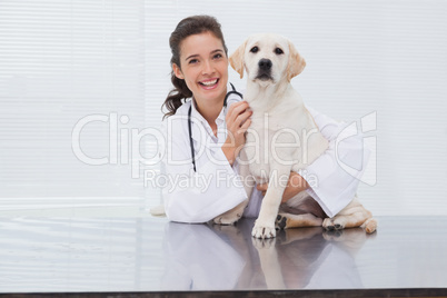 Smiling veterinarian examining a cute dog