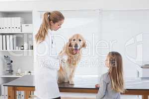 Happy vet checking a labrador