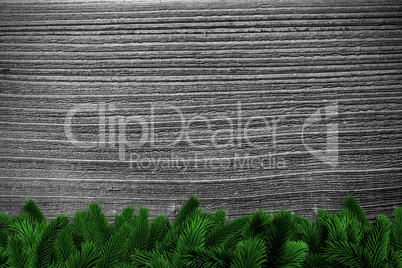 Fir branches on wooden planks