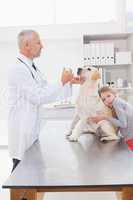 Vet examining a dog with its anxious owner
