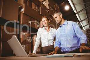 Colleague with laptop at warehouse