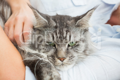 Woman cuddling with pet cat on sofa