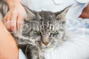 Woman cuddling with pet cat on sofa