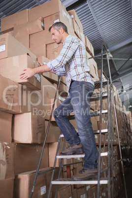 Warehouse worker loading up pallet