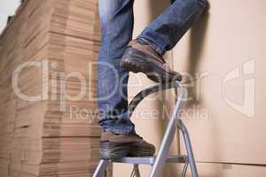 Worker on ladder in warehouse