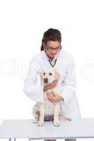 Veterinarian doing check up at a dog with a stethoscope