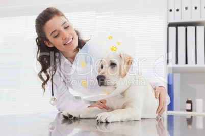 Smiling vet and dog with a cone