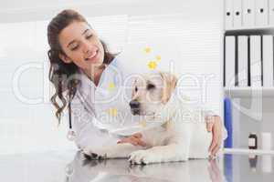 Smiling vet and dog with a cone