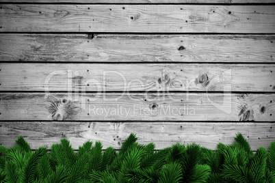 Fir branches on wooden planks