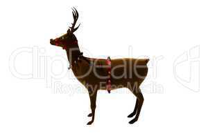 Digital santas reindeer with bells