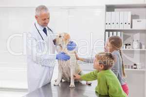 Vet examining a dog with its owners
