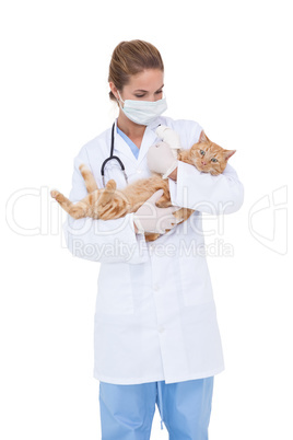 Vet holding an adorable cat