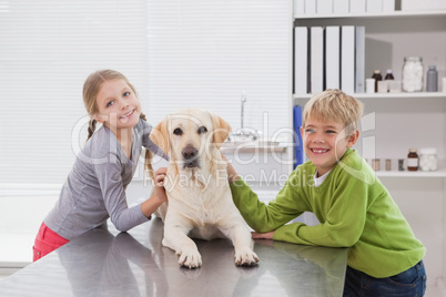 Cute labrador with its happy owners