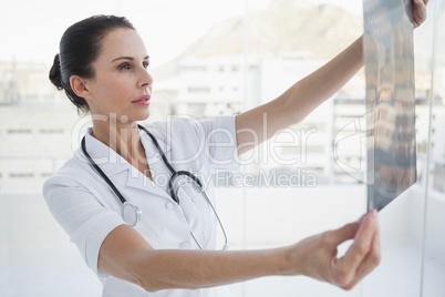 Doctor checking a patients x ray