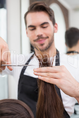 Handsome hair stylist cutting hair