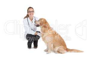 Smiling vet with a labrador