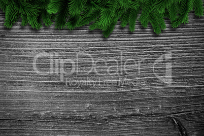 Fir branches on wooden planks