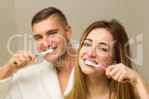 Cute couple brushing their teeth