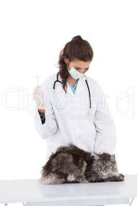 Vet examining a maine coon