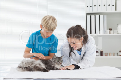 Vet petting a cat with its owner