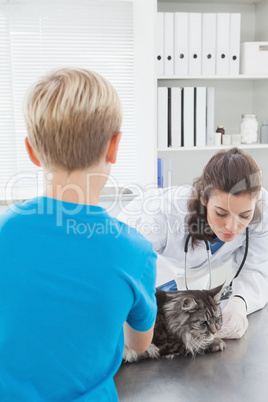 Vet examining a cat with its owner