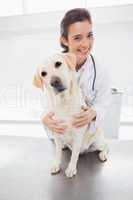 Happy veterinarian examining a cute dog