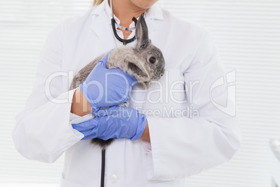 Vet holding a small rabbit