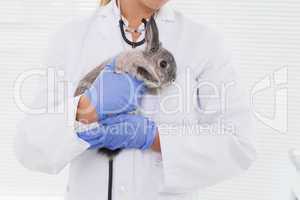Vet holding a small rabbit