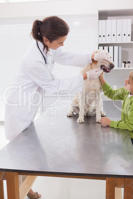 Vet examining a dog with its owner