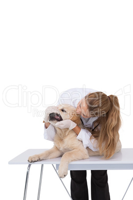 Vet checking a dogs teeth