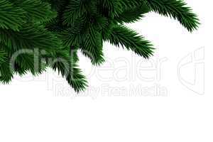 Digitally generated fir tree branches