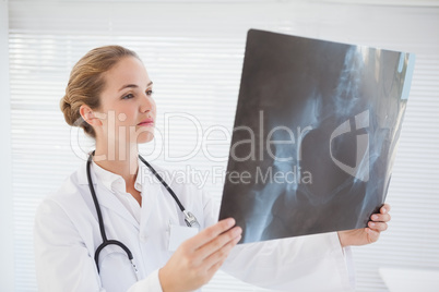 Focused doctor looking at xray