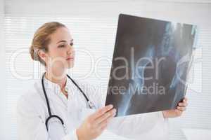 Focused doctor looking at xray