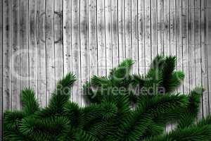 Fir branches on wooden planks