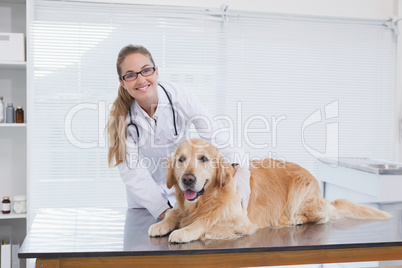 Smiling vet examining a labrador