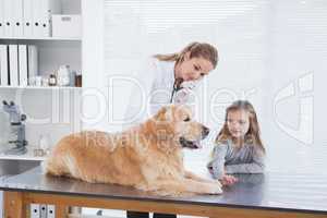Happy vet checking a labrador