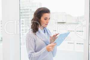 Pretty brunette using tablet pc by the window