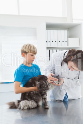 Vet examining a cat with its owner