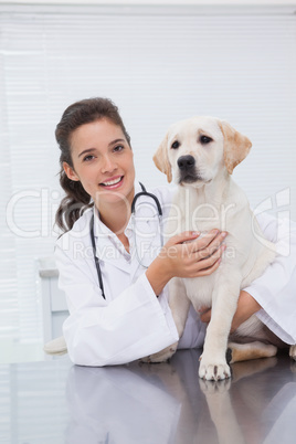 Smiling veterinarian examining a cute dog