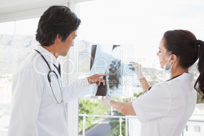 Doctors both looking over an x ray