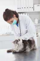 Vet with surgical mask examining a cat