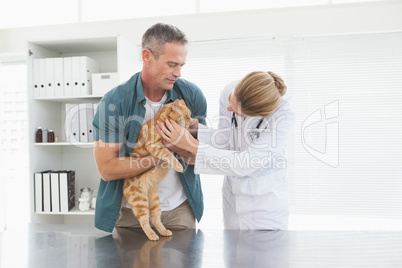 Owner holding his cat as vet examines it